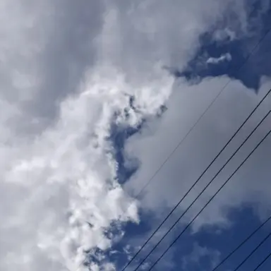 Profile image of 홍루