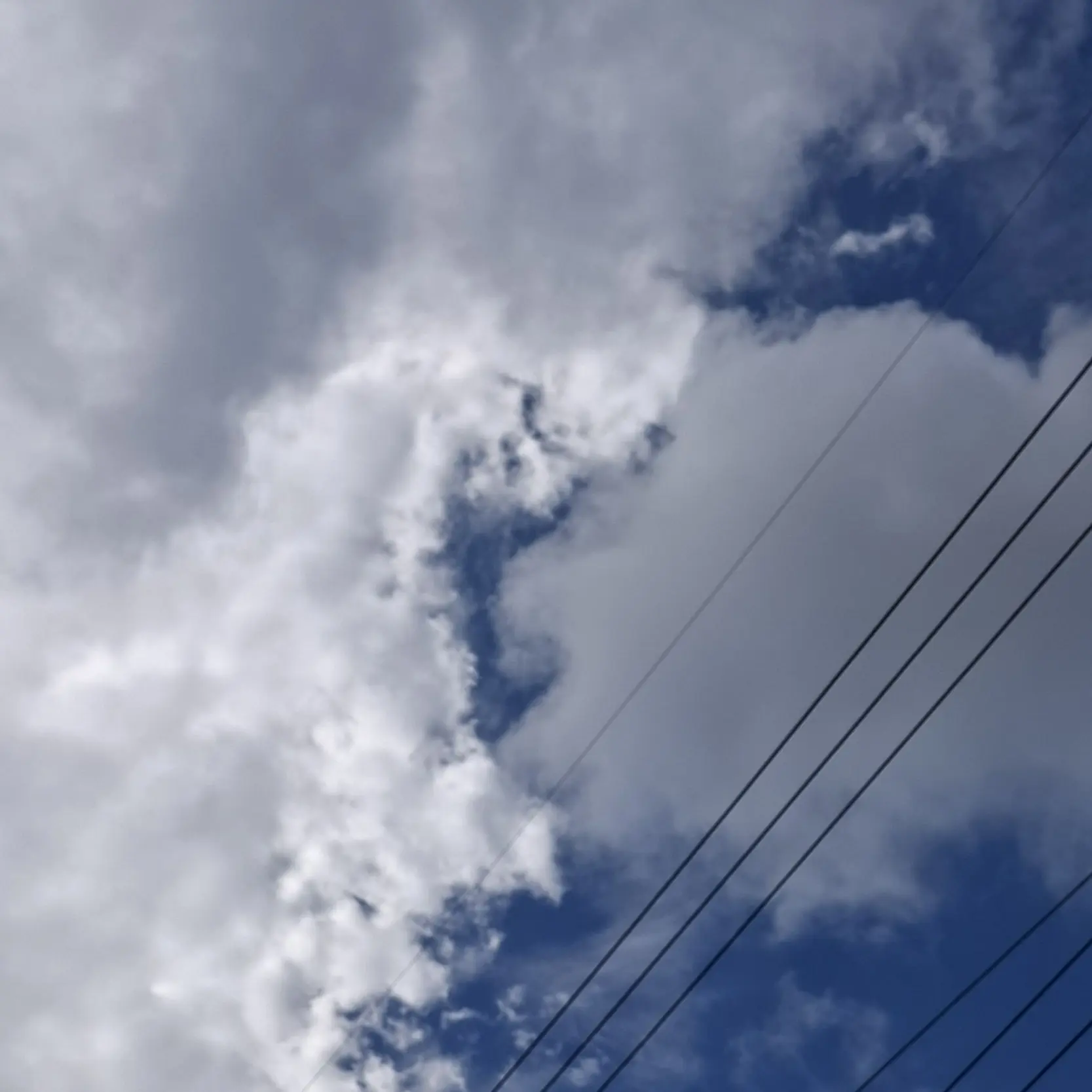 BareHost1625의 [🔮] 명문고의 아름다운 폭군