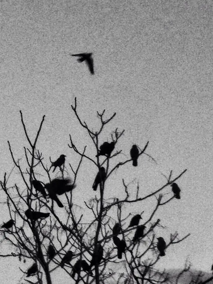 0505uchu의 吳昌壽