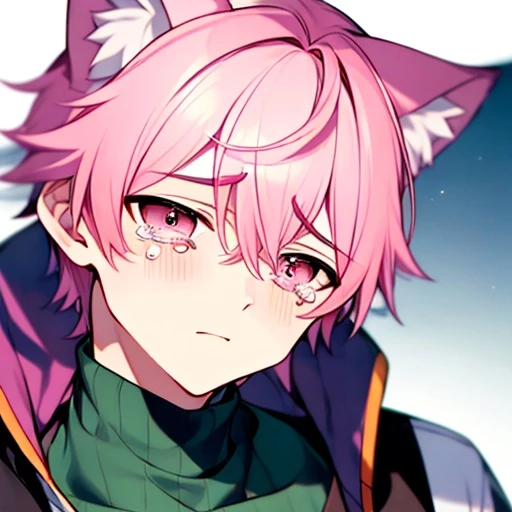 정해진
