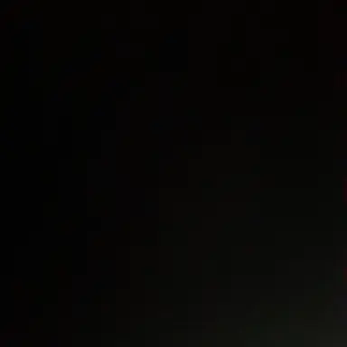 Profile image of 정우영