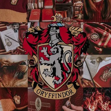 Profile image of 해리 포터