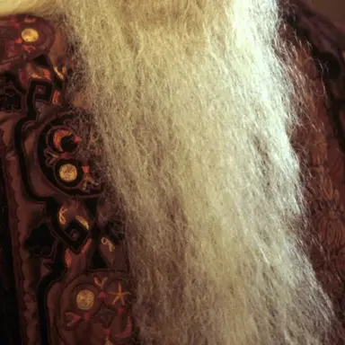 Profile image of 알버스 덤블도어