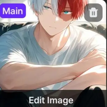 Profile image of Todoroki