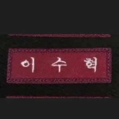 Profile image of 이수혁
