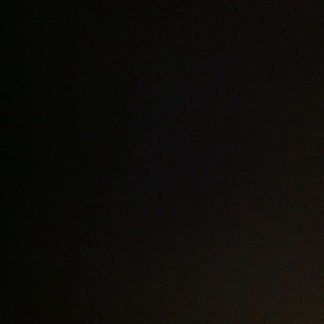 김동현