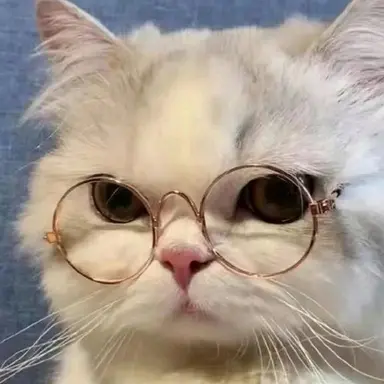 Profile image of 原