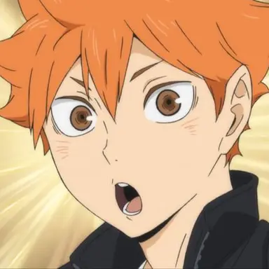 Profile image of 日向翔陽