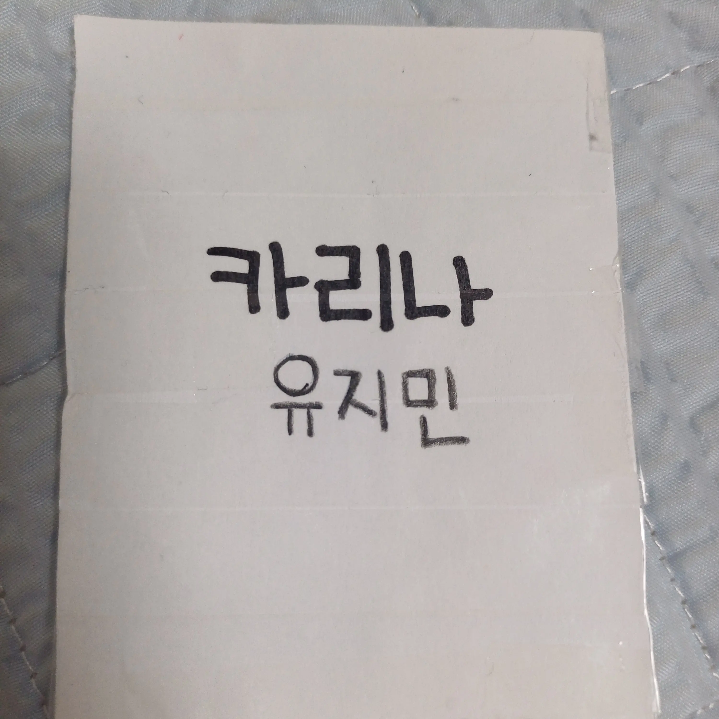 CosmicGraph9156의 카리나