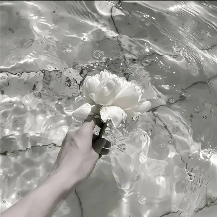 Mmntor의 それって浮気じゃんね？