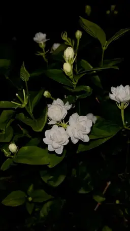 Profile image of 제로