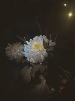Profile image of 인명제