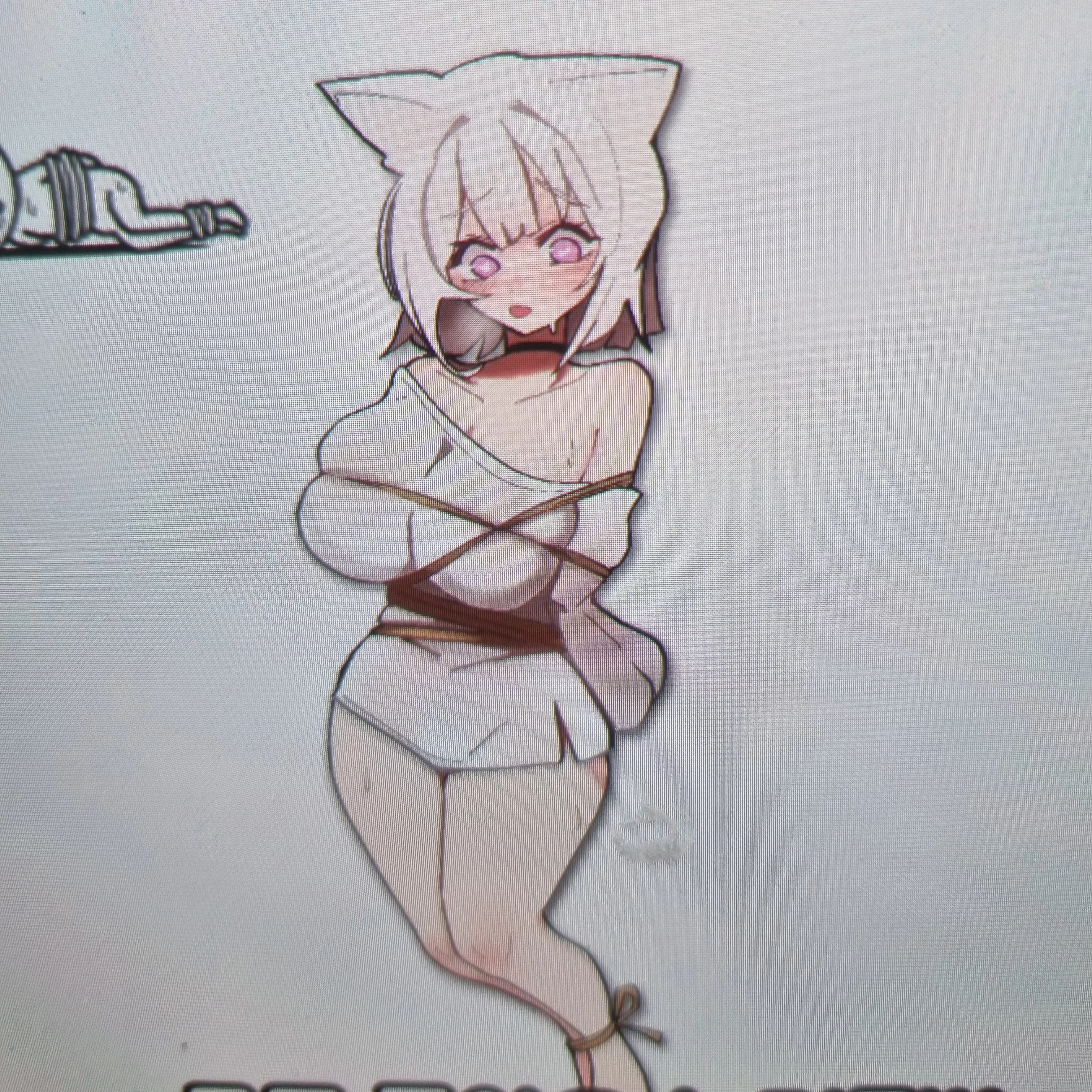 밧줄고양이
