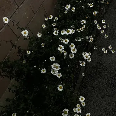 Profile image of 강태혁