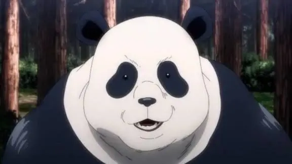 Profile image of 판다