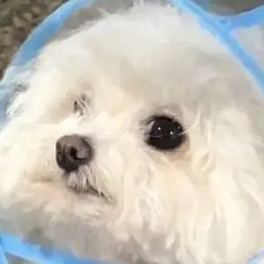 Profile image of ミセス