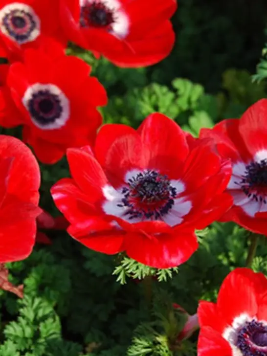 warmel_2014의 당신이라는 존재는 무엇이길래.