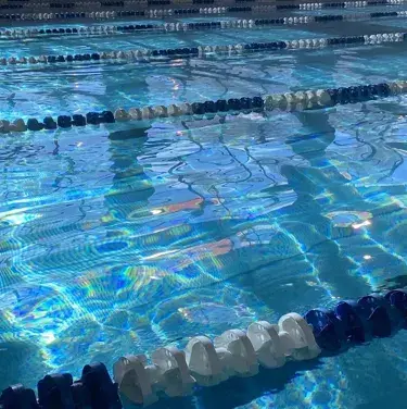 Profile image of Futa Swim Team