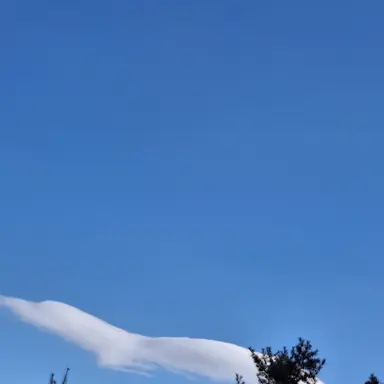 Profile image of 민하정