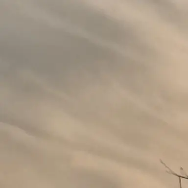 Profile image of 차태호