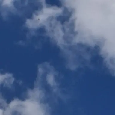 Profile image of 한태원