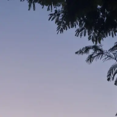 Profile image of 오해원