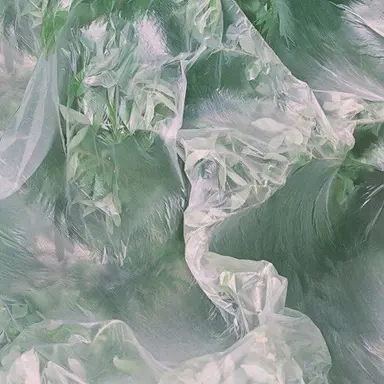 Profile image of 공룡