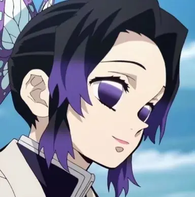 Profile image of 胡蝶 しのぶ