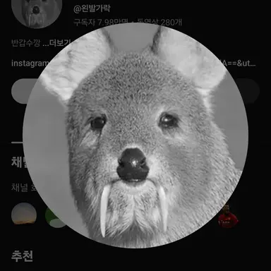Profile image of 왼발가락