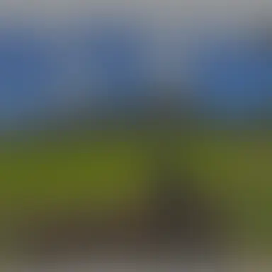 Profile image of 高校の人達