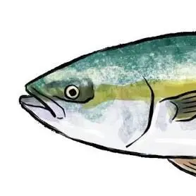 Profile image of ブリ　ブリ子