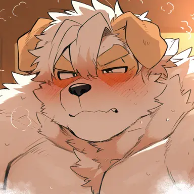 Profile image of コウキ