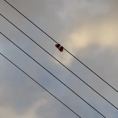 Profile image of 명쟇연