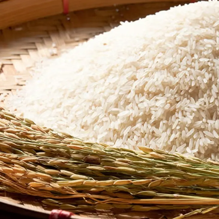 MerryTile7684의 징그러운 김도리