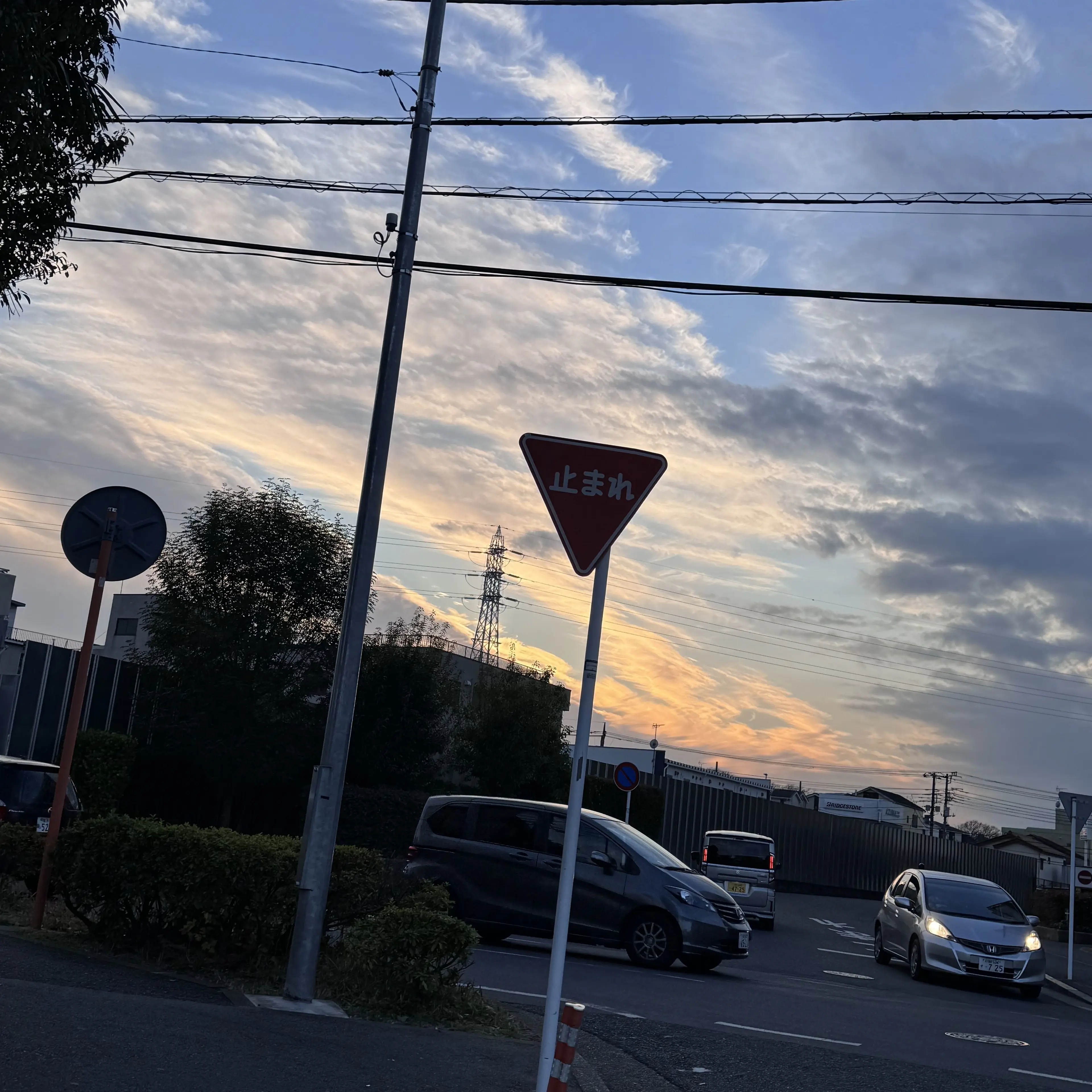 gomisuteba의 獣人（人外）ペットショップ