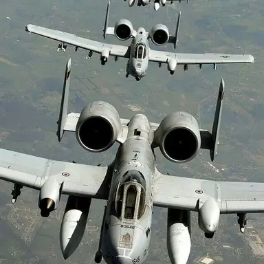 Profile image of The A-10 Warhogs