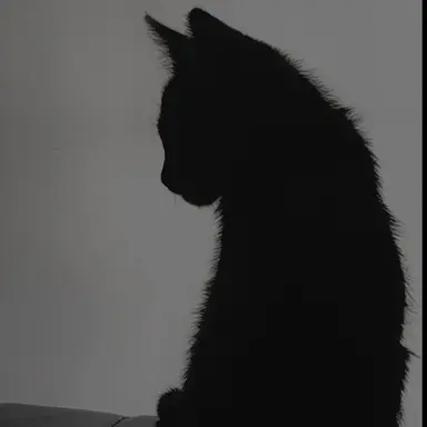 Profile image of 相澤 消太