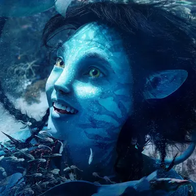 Profile image of 키리