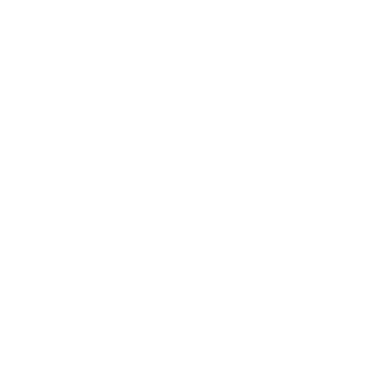 S.I.N