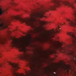 nnn_000의 ストーカー
