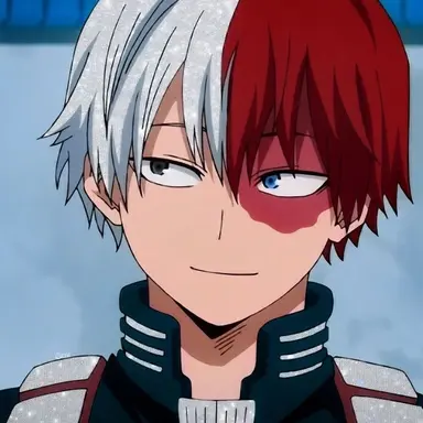 Profile image of Shoto Todoroki