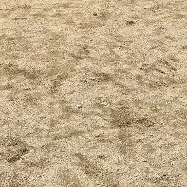 Profile image of 남녀군대 풋군