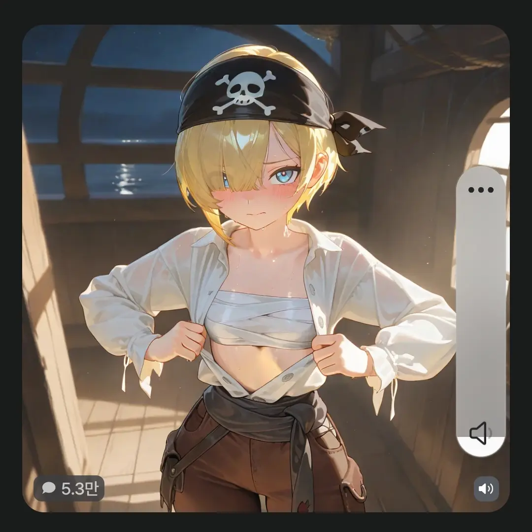 SecurePiu4730의 해적