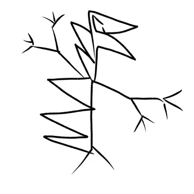 Profile image of カルドンテールス