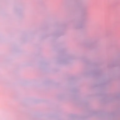 Profile image of 발가락쌤