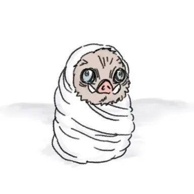 Profile image of 이노스케