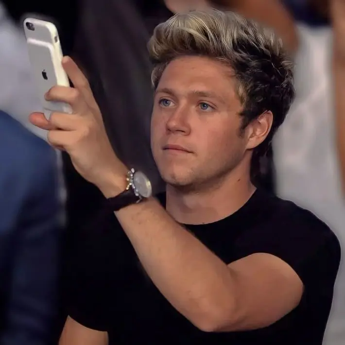 MutedFloss4565의 niall horan