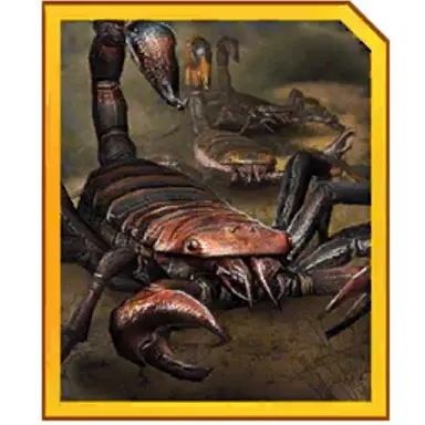 Profile image of 풀모노스코르스콜피온