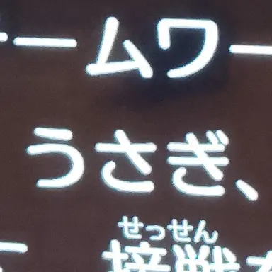 Profile image of 先生