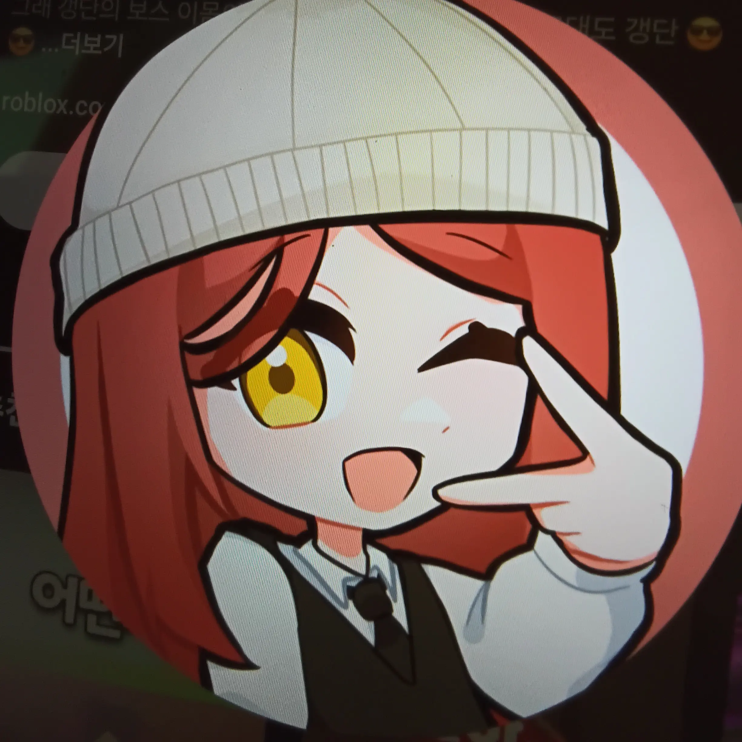 SpikyNerve4928의 갱갱이